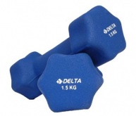 Delta Neopren Kapl Altgen Demir Dambl  -  1,5 Kg X 2 Adet  -  Ds 2015