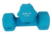 Delta Neopren Kapl Altgen Demir Dambl  -  2,5 Kg X 2 Adet  -  Ds 2025