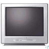 Philips 21PT5402 55 cm Real Flat TV