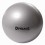 Dynamıc 65 Cm Pilates Ve Egzersiz Topu + Pompa  (1 Adet - Renk : Pembe-gri)