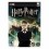 H.Potter And The Order Phoenix PC